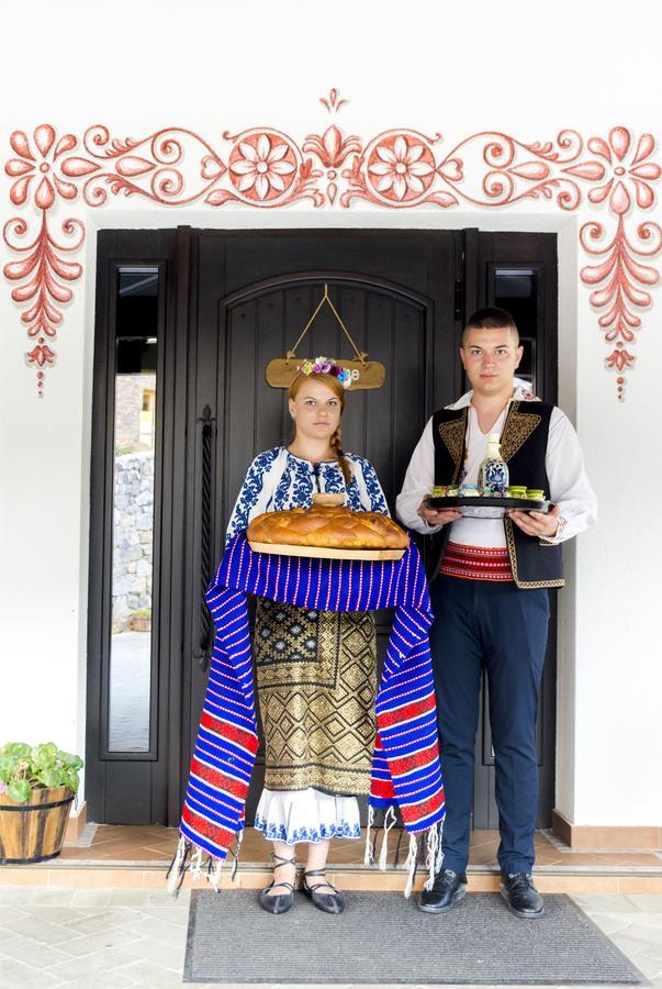 Hotel Conacu' Boierului Ponoarele  Esterno foto